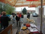 Pochod 2013