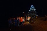 Rozsvěcení stromu 2016