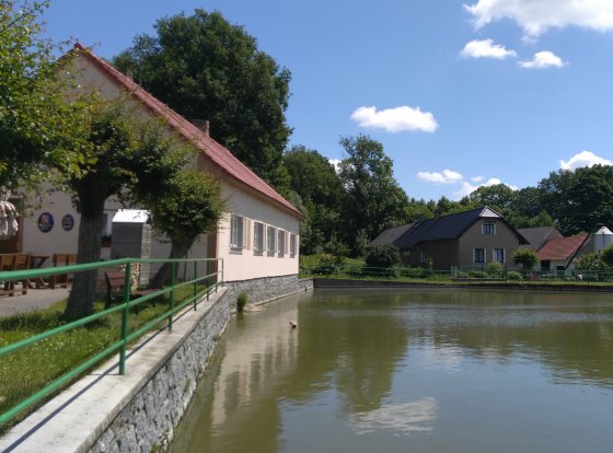 Měnič obrázků - fotografie