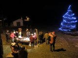 Vánoční strom 2012