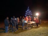 Vánoční strom 2012