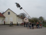 Stavění májky 2013