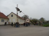Stavění májky 2013